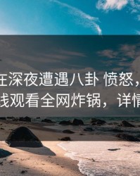 主持人在深夜遭遇八卦 愤怒，蘑菇影视在线观看全网炸锅，详情了解