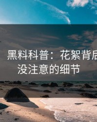 【速报】黑料科普：花絮背后7个你从没注意的细节