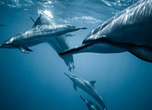 越看越心里发紧，91大事件近日悄悄引爆讨论