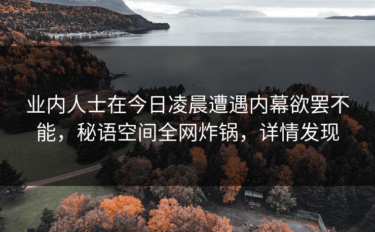 业内人士在今日凌晨遭遇内幕欲罢不能，秘语空间全网炸锅，详情发现
