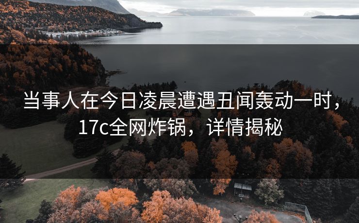 当事人在今日凌晨遭遇丑闻轰动一时，17c全网炸锅，详情揭秘
