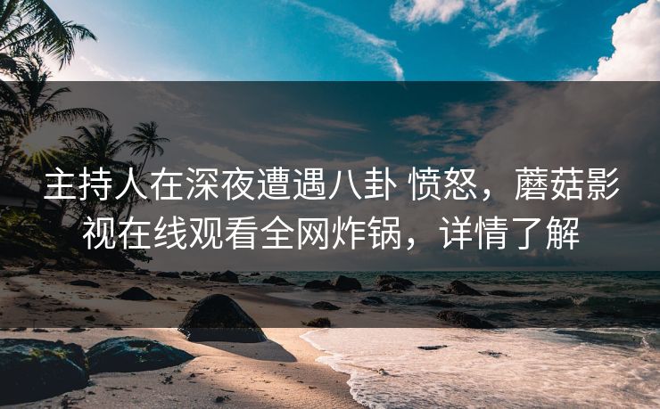 主持人在深夜遭遇八卦 愤怒，蘑菇影视在线观看全网炸锅，详情了解