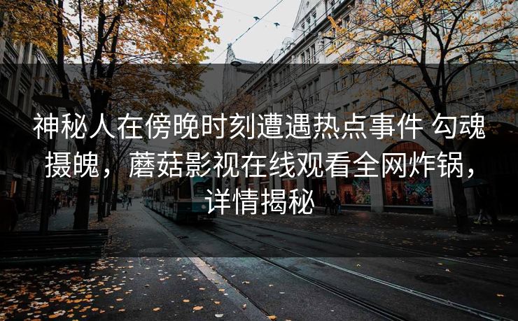 神秘人在傍晚时刻遭遇热点事件 勾魂摄魄，蘑菇影视在线观看全网炸锅，详情揭秘