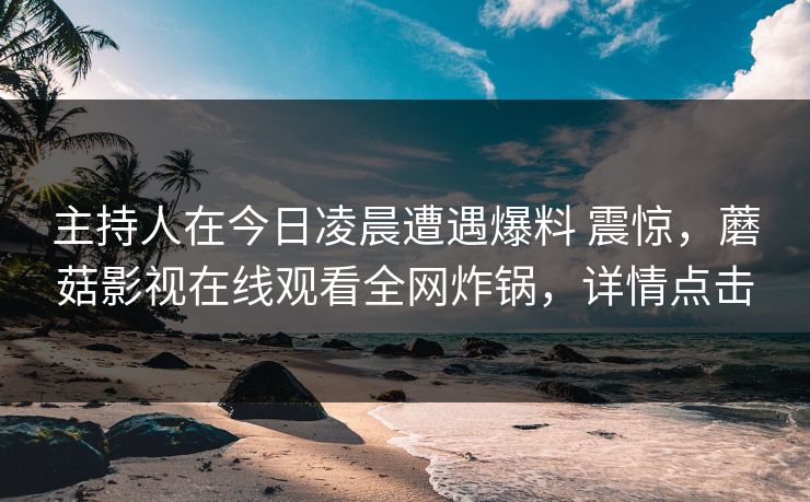 主持人在今日凌晨遭遇爆料 震惊，蘑菇影视在线观看全网炸锅，详情点击