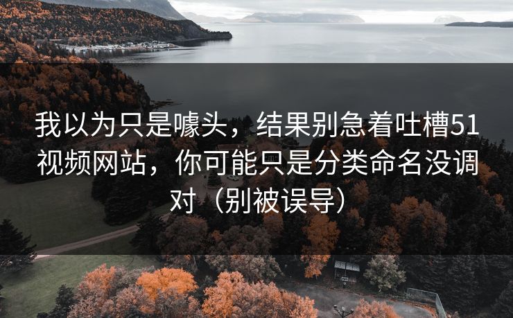 我以为只是噱头，结果别急着吐槽51视频网站，你可能只是分类命名没调对（别被误导）