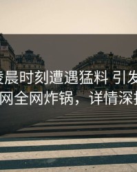 网红在凌晨时刻遭遇猛料 引发联想，91网全网炸锅，详情深扒