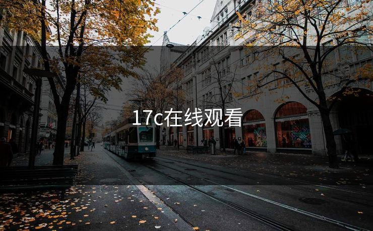 17c在线观看